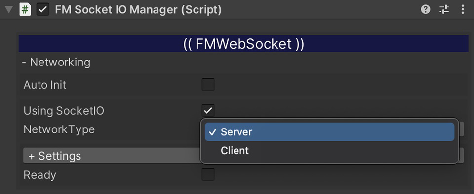 fmetp-stream-fmwebsocket42-networktype